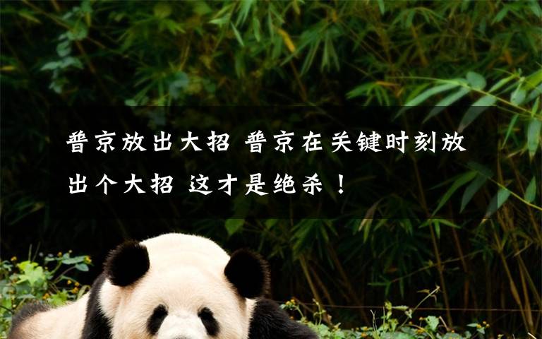 普京放出大招 普京在关键时刻放出个大招 这才是绝杀！