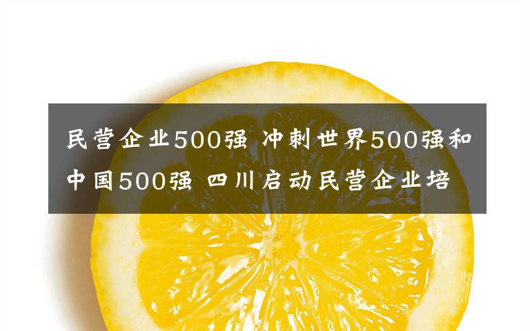 民营企业500强 冲刺世界500强和中国500强 四川启动民营企业培育计划