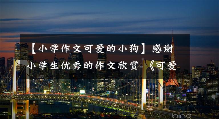 【小学作文可爱的小狗】感谢小学生优秀的作文欣赏-《可爱的小狗》 《龟兔赛跑》后续，参考学习。