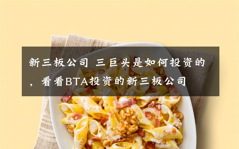 新三板公司 三巨头是如何投资的，看看BTA投资的新三板公司