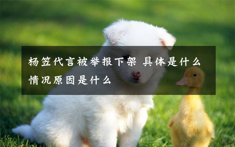 杨笠代言被举报下架 具体是什么情况原因是什么