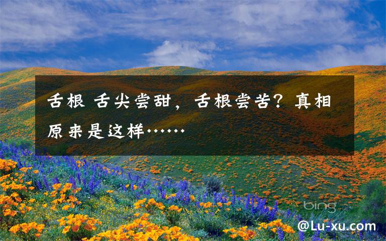 舌根 舌尖尝甜，舌根尝苦？真相原来是这样……