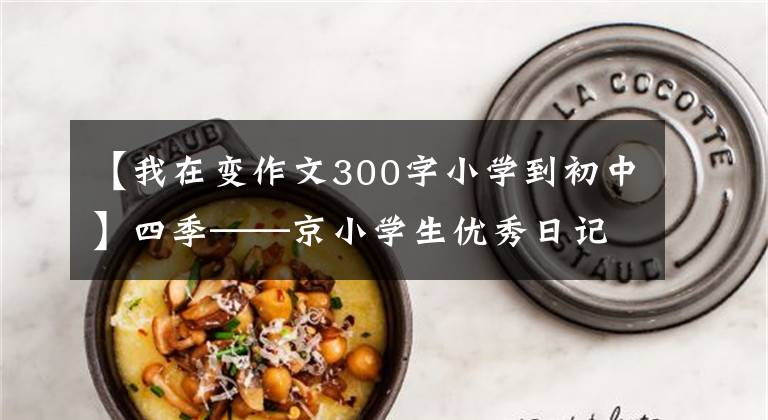【我在变作文300字小学到初中】四季——京小学生优秀日记周刊作文300字