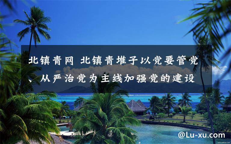 北镇青网 北镇青堆子以党要管党、从严治党为主线加强党的建设