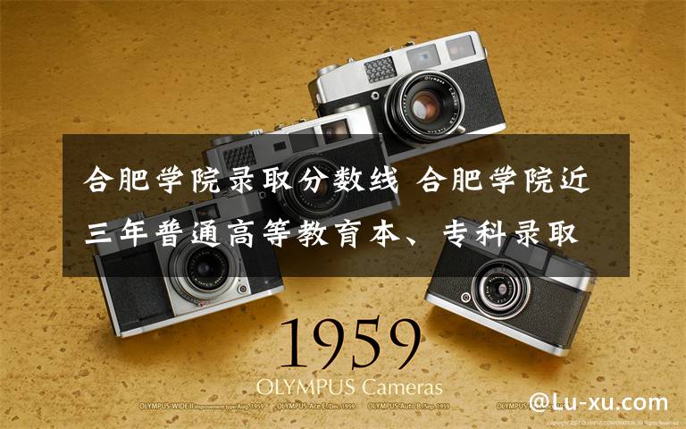 合肥学院录取分数线 合肥学院近三年普通高等教育本、专科录取分数线（安徽省）
