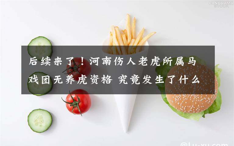 后续来了！河南伤人老虎所属马戏团无养虎资格 究竟发生了什么?