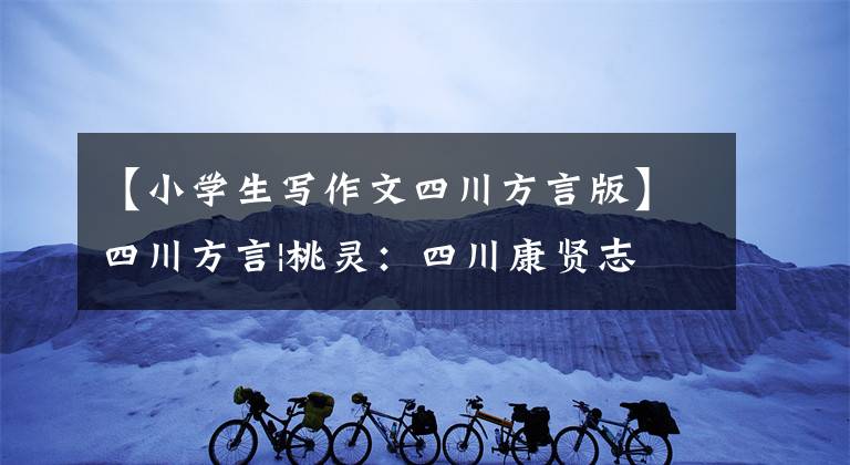 【小学生写作文四川方言版】四川方言|桃灵：四川康贤志