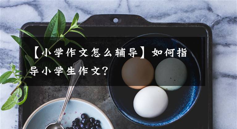 【小学作文怎么辅导】如何指导小学生作文？
