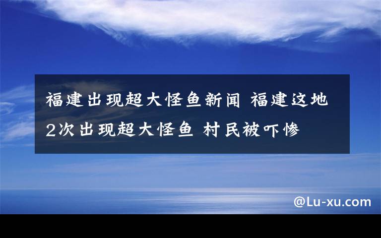 福建出现超大怪鱼新闻 福建这地2次出现超大怪鱼 村民被吓惨