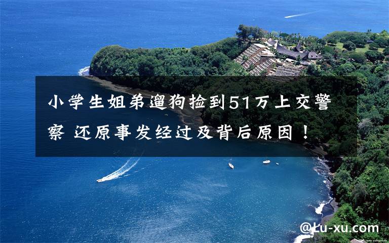 小学生姐弟遛狗捡到51万上交警察 还原事发经过及背后原因！