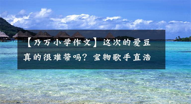【乃万小学作文】这次的爱豆真的很难带吗？宝物歌手直浩：太难了！