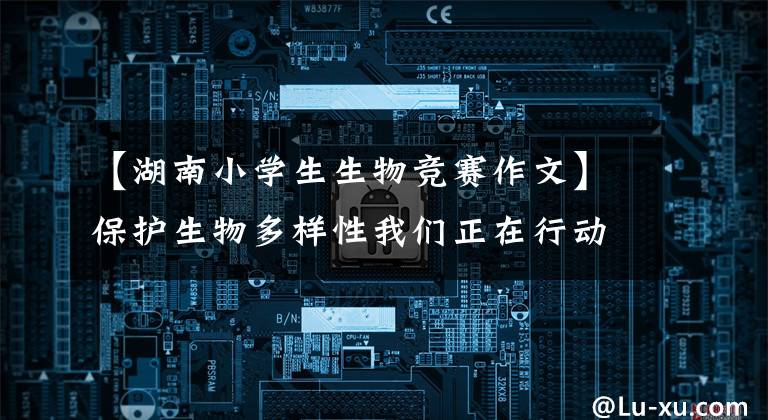 【湖南小学生生物竞赛作文】保护生物多样性我们正在行动。