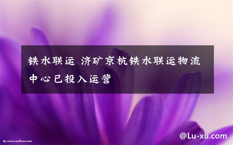 铁水联运 济矿京杭铁水联运物流中心已投入运营