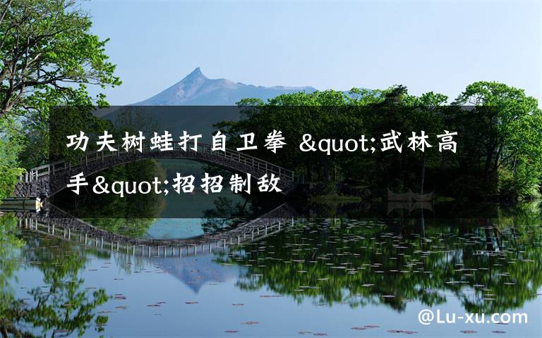 功夫树蛙打自卫拳 "武林高手"招招制敌