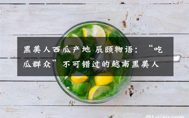 黑美人西瓜产地 辰颐物语：“吃瓜群众”不可错过的越南黑美人西瓜