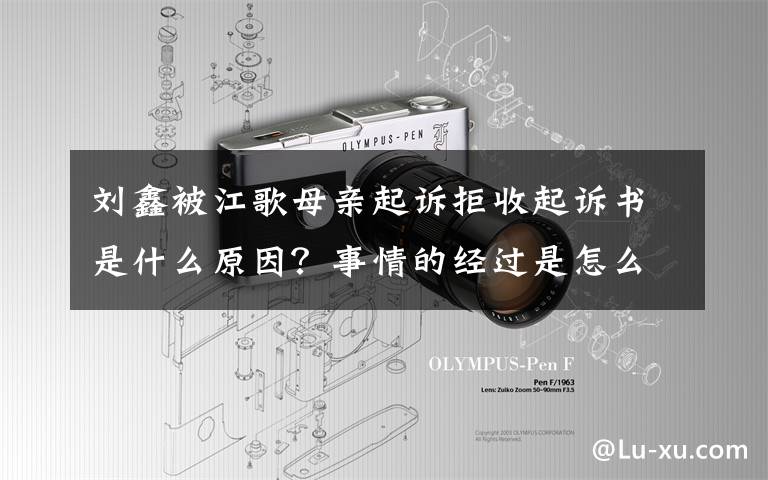 刘鑫被江歌母亲起诉拒收起诉书是什么原因？事情的经过是怎么回事？