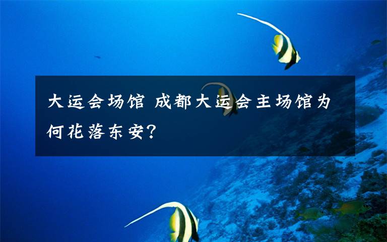 大运会场馆 成都大运会主场馆为何花落东安？