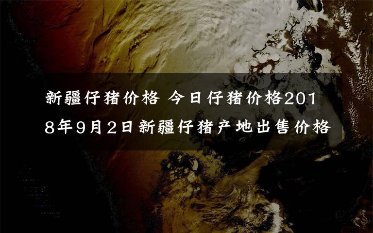 新疆仔猪价格 今日仔猪价格2018年9月2日新疆仔猪产地出售价格