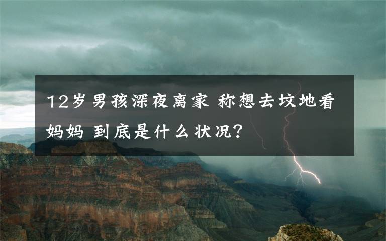 12岁男孩深夜离家 称想去坟地看妈妈 到底是什么状况？