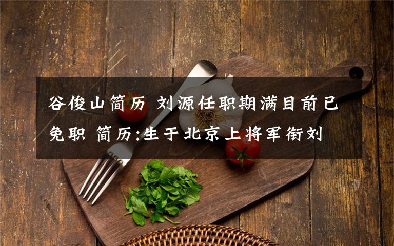 谷俊山简历 刘源任职期满目前已免职 简历:生于北京上将军衔刘少奇之子