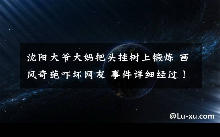 沈阳大爷大妈把头挂树上锻炼 画风奇葩吓坏网友 事件详细经过！