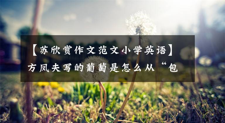 【苏欣赏作文范文小学英语】方凤夫写的葡萄是怎么从“包裹图”变成“方葡萄”的？