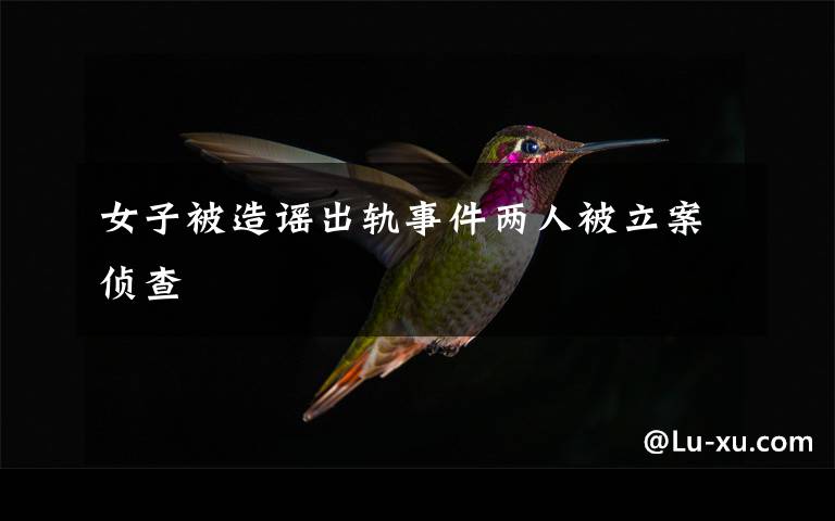 女子被造谣出轨事件两人被立案侦查