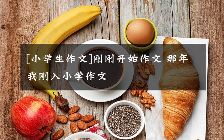 [小学生作文]刚刚开始作文 那年我刚入小学作文