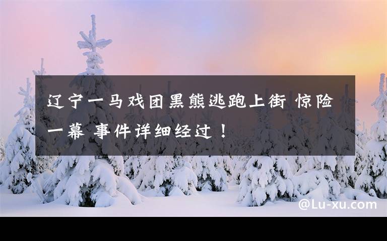 辽宁一马戏团黑熊逃跑上街 惊险一幕 事件详细经过！