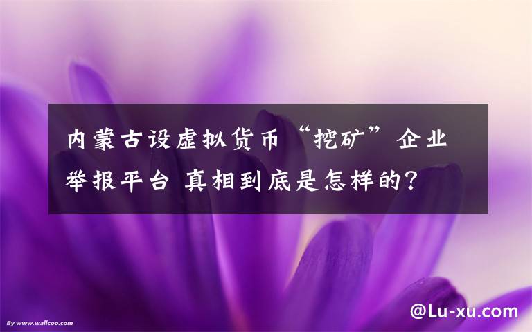 如何规范和清理虚拟货币挖矿？内蒙古对外招标相关研究项目