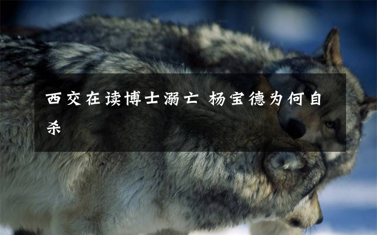 西交在读博士溺亡 杨宝德为何自杀