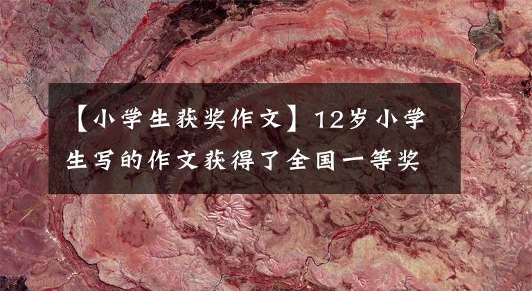 【小学生获奖作文】12岁小学生写的作文获得了全国一等奖！网民：信息量太大，都是知识点