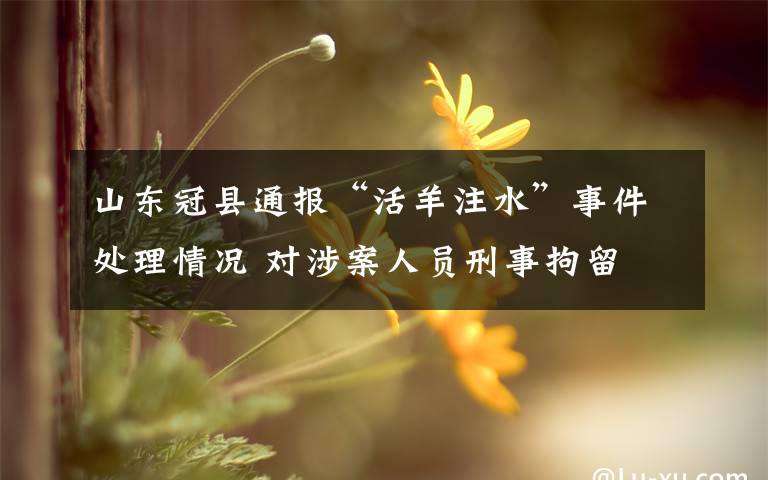 山东冠县通报“活羊注水”事件处理情况 对涉案人员刑事拘留 事情经过真相揭秘！