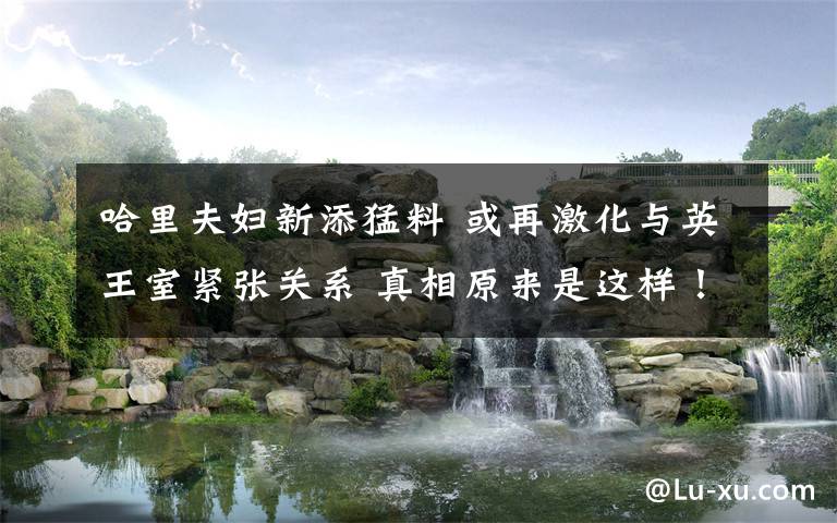 哈里夫妇新添猛料 或再激化与英王室紧张关系 真相原来是这样！