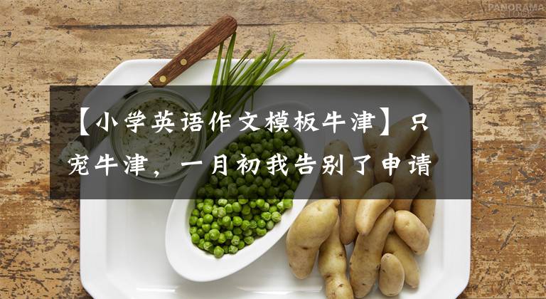 【小学英语作文模板牛津】只宠牛津，一月初我告别了申请季