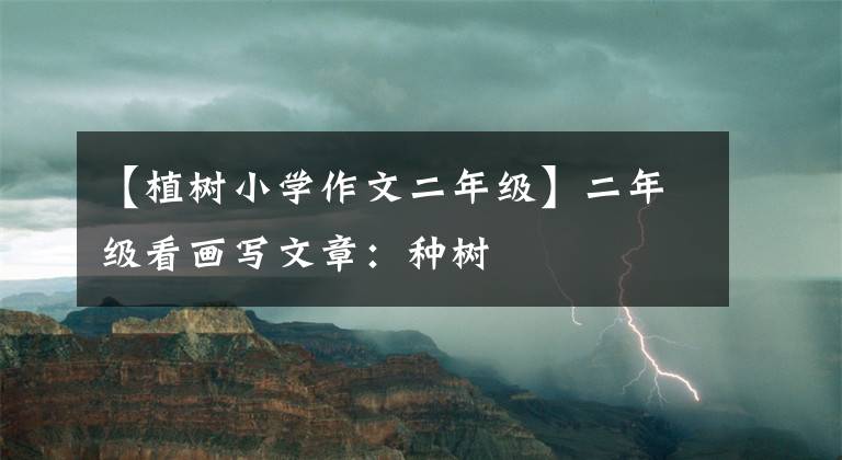 【植树小学作文二年级】二年级看画写文章：种树
