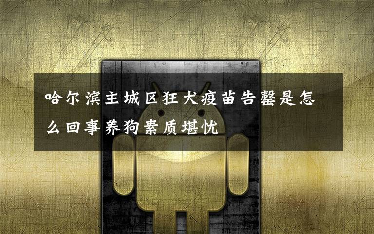 哈尔滨主城区狂犬疫苗告罄是怎么回事养狗素质堪忧
