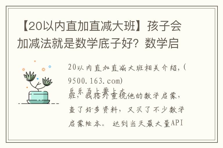 【20以内直加直减大班】孩子会加减法就是数学底子好？数学启蒙的要点，很多家长没get到