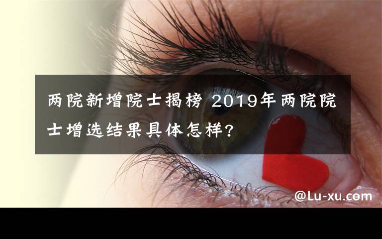 两院新增院士揭榜 2019年两院院士增选结果具体怎样?