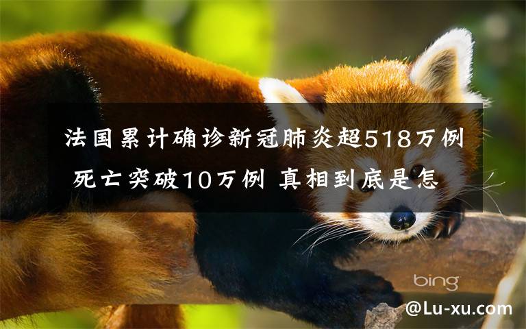 法国累计确诊新冠肺炎超518万例 死亡突破10万例 真相到底是怎样的？