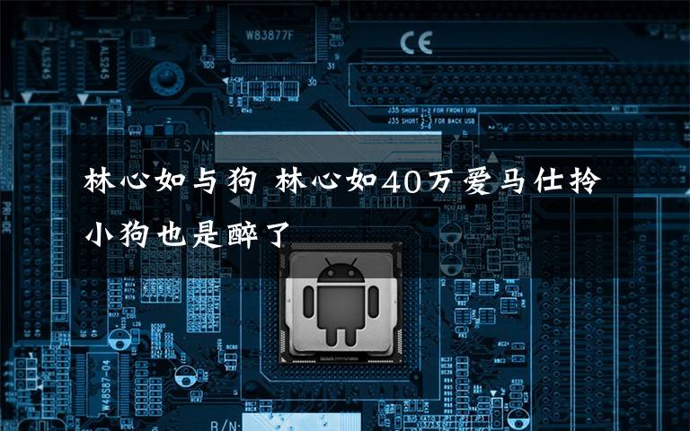 林心如与狗 林心如40万爱马仕拎小狗也是醉了