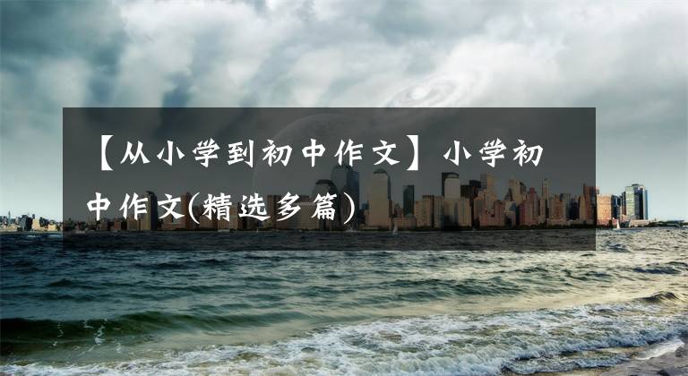 【从小学到初中作文】小学初中作文(精选多篇)