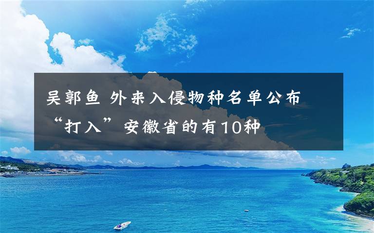 吴郭鱼 外来入侵物种名单公布 “打入”安徽省的有10种