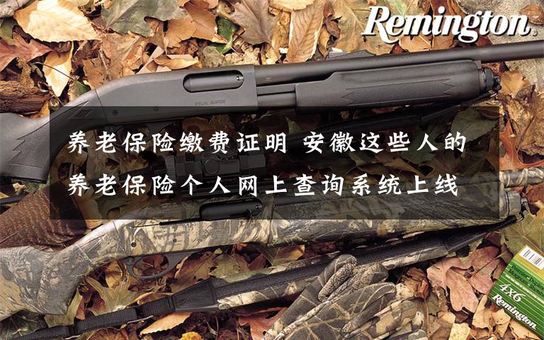 养老保险缴费证明 安徽这些人的养老保险个人网上查询系统上线啦！在家就可以打印参保证明