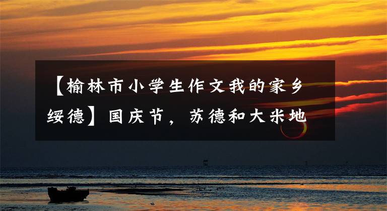 【榆林市小学生作文我的家乡绥德】国庆节，苏德和大米地方的对话，吕布，貂蝉，侵略王，林王，黑粉接触驴板。
