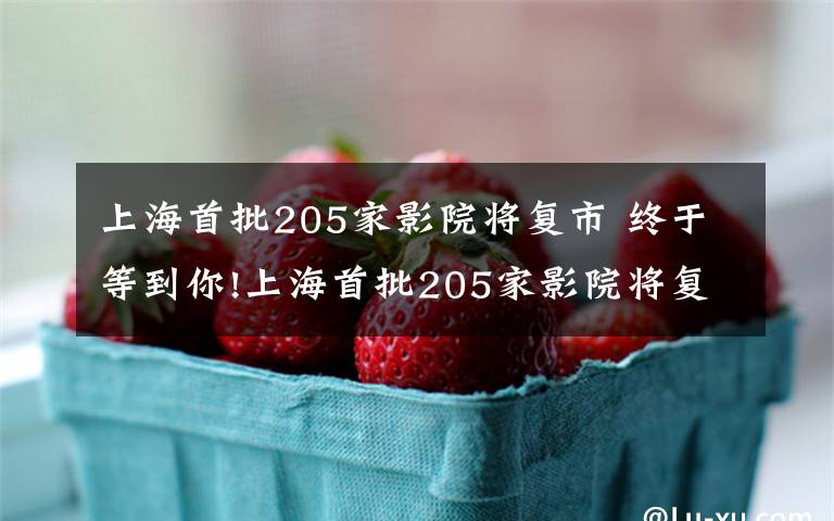 上海首批205家影院将复市 终于等到你!上海首批205家影院将复市 每张票补贴即10元