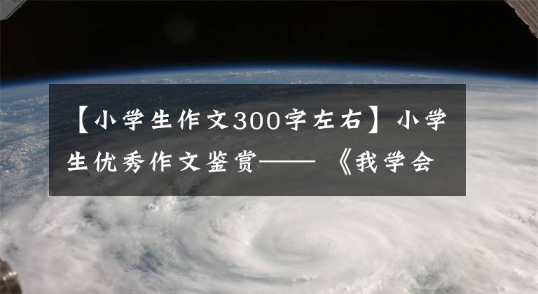 【小学生作文300字左右】小学生优秀作文鉴赏—— 《我学会了包饺子》 300字，范文5篇。