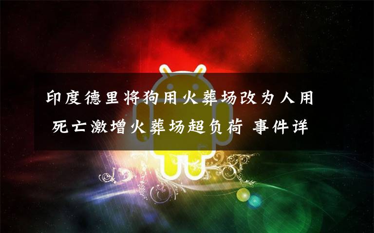 印度德里将狗用火葬场改为人用 死亡激增火葬场超负荷 事件详细经过！