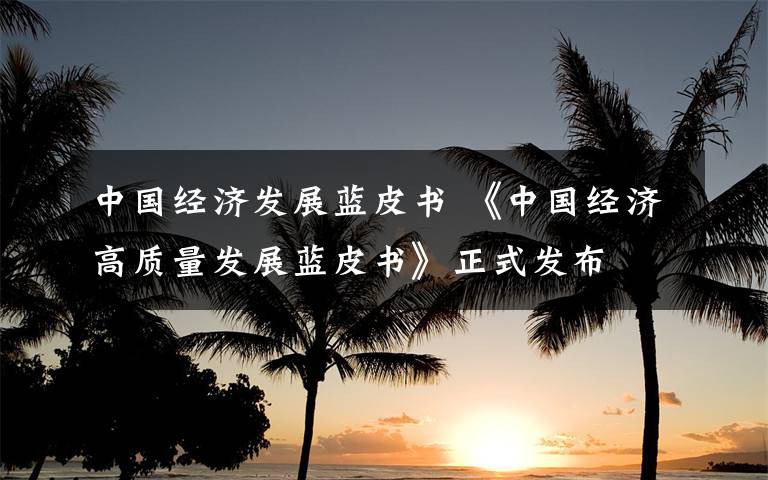 中国经济发展蓝皮书 《中国经济高质量发展蓝皮书》正式发布