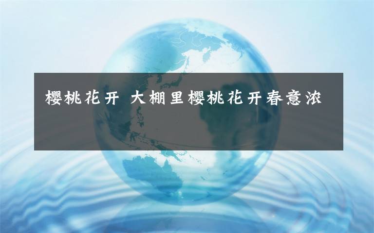 樱桃花开 大棚里樱桃花开春意浓